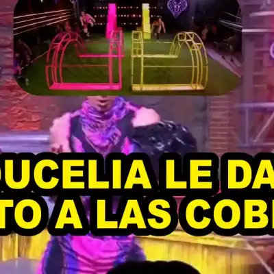 Ducelia le da el punto a las Cobras Guererros Mundiales